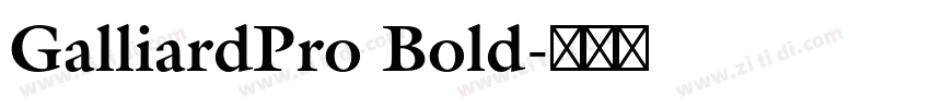 GalliardPro Bold字体转换